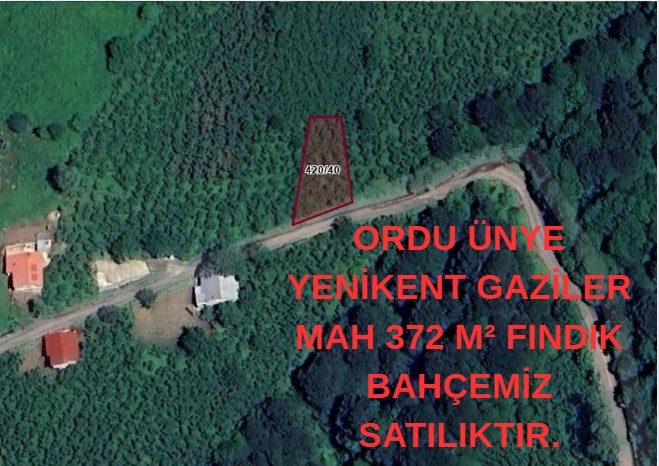ORDU ÜNYE YENİKENT GAZİLER MAH 372 M² FINDIK BAHÇEMİZ SATILIKTIR. - ORDU ÜNYE fotoğraf 6
